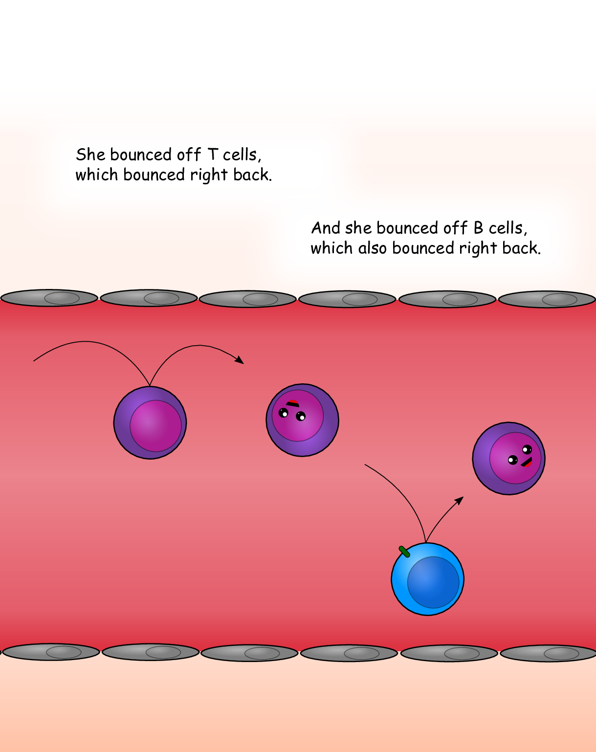 Page 07 (Blood Cells 2)
