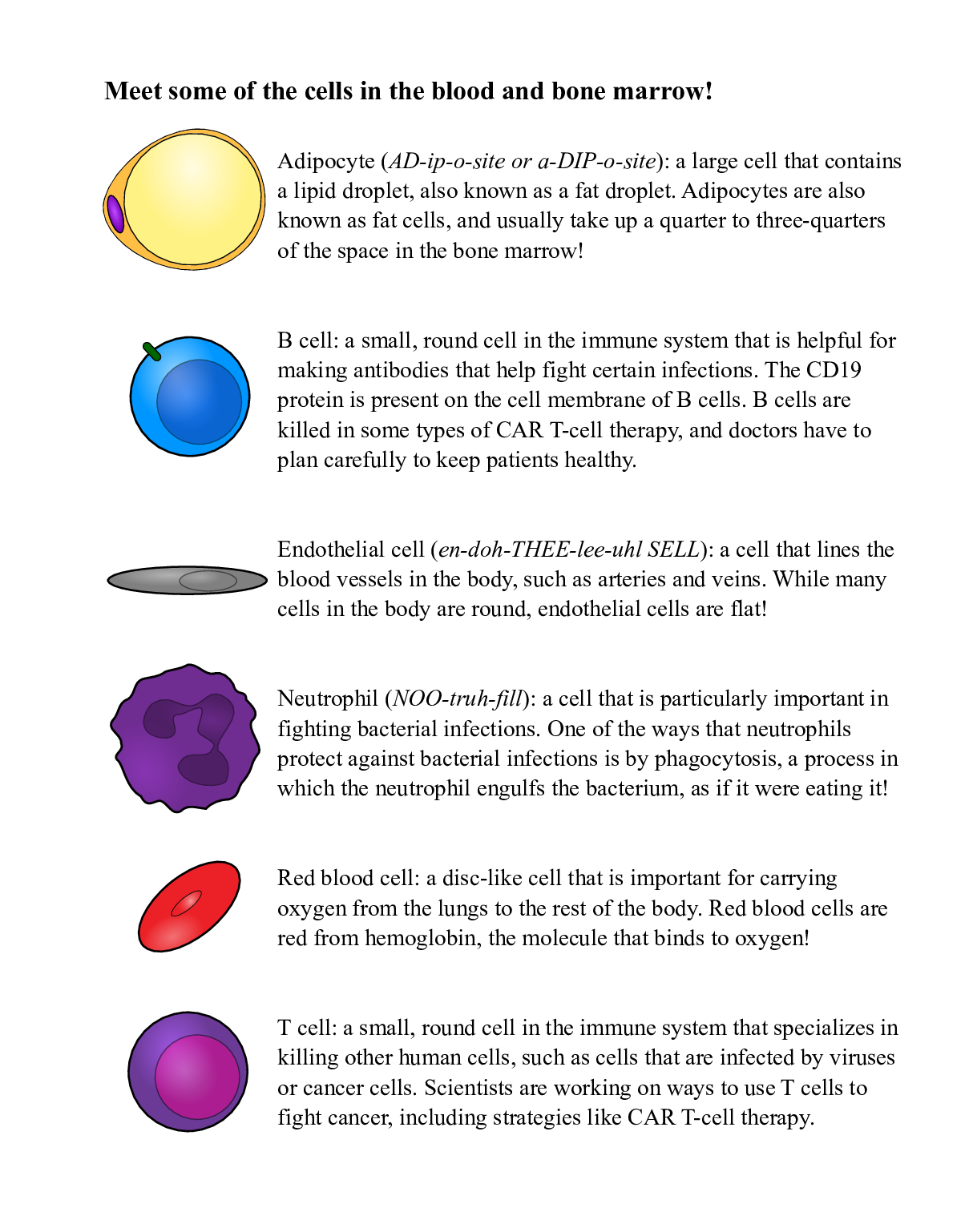Page 33 (Meet the Blood Cells)